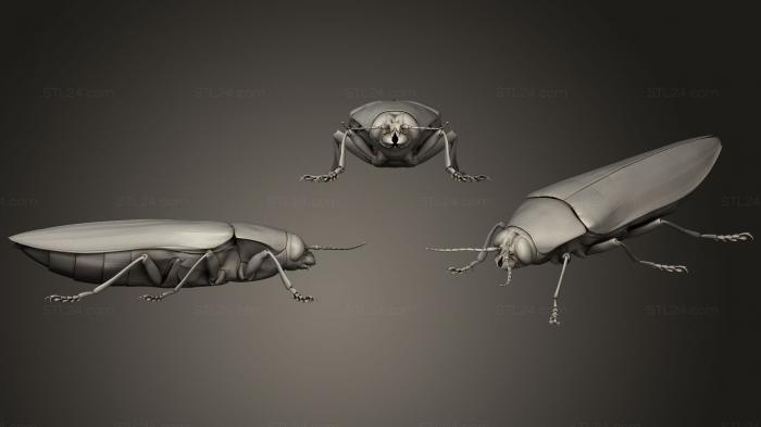 Насекомые (Жуки-насекомые 112, INSCT_0057) 3D модель для ЧПУ станка